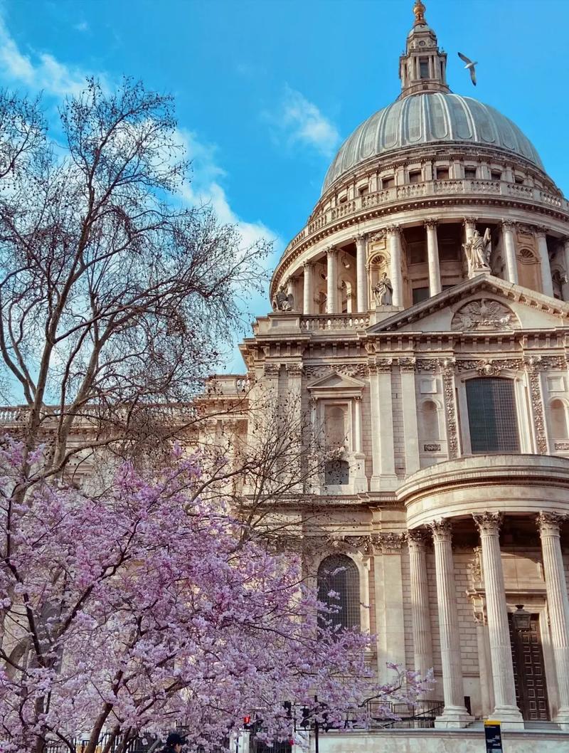 加州大学默塞德分校